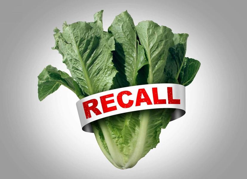 Romaine Lettuce Recall