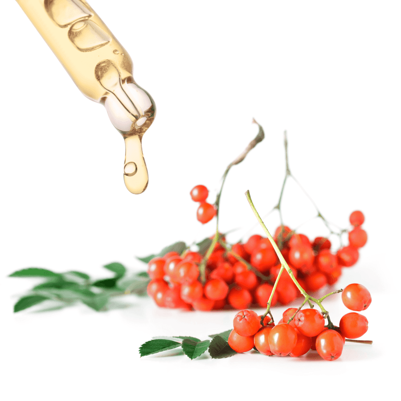 Rowanberry Extract