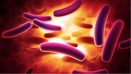 CytoGUARD® LA Antimicrobials Sees Surge In Light of Recent Vegetable Product Recall