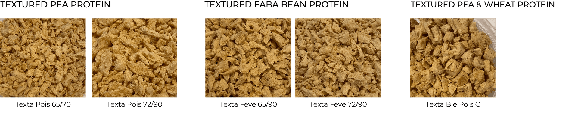 Textured Vegetable Proteins Product Range