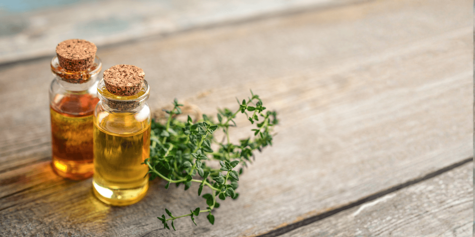 Plant-based rosemary extract