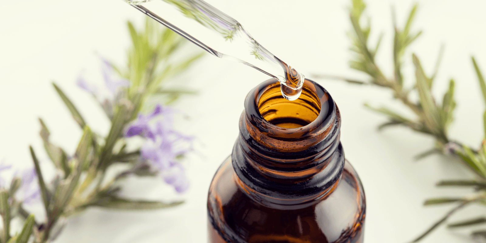 Natural Presevation Extracts for Clean Label Foods and Beverages