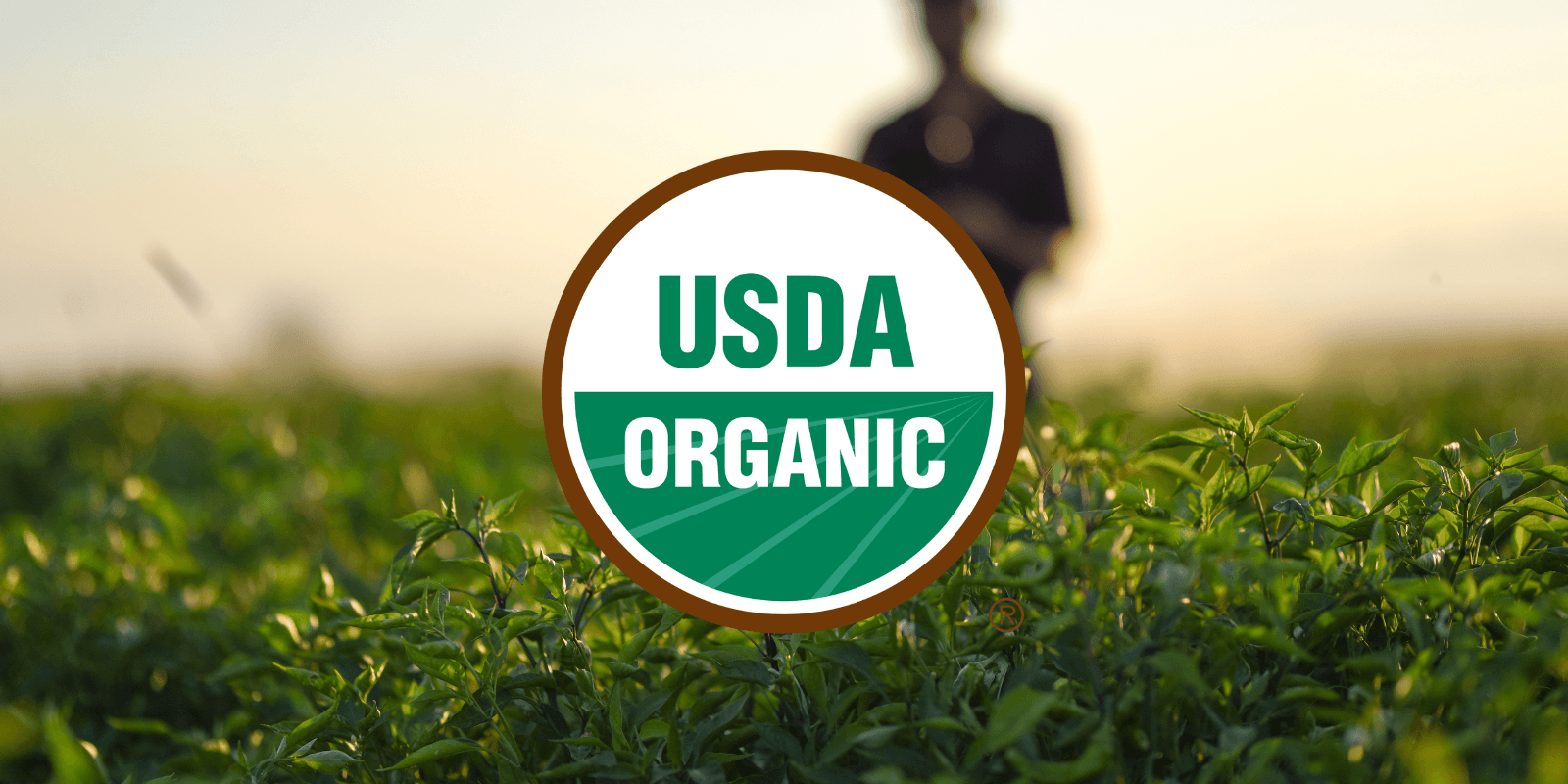 A&B Ingredients Receives Organic Certification