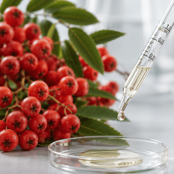Rowanberry Extract Dropper