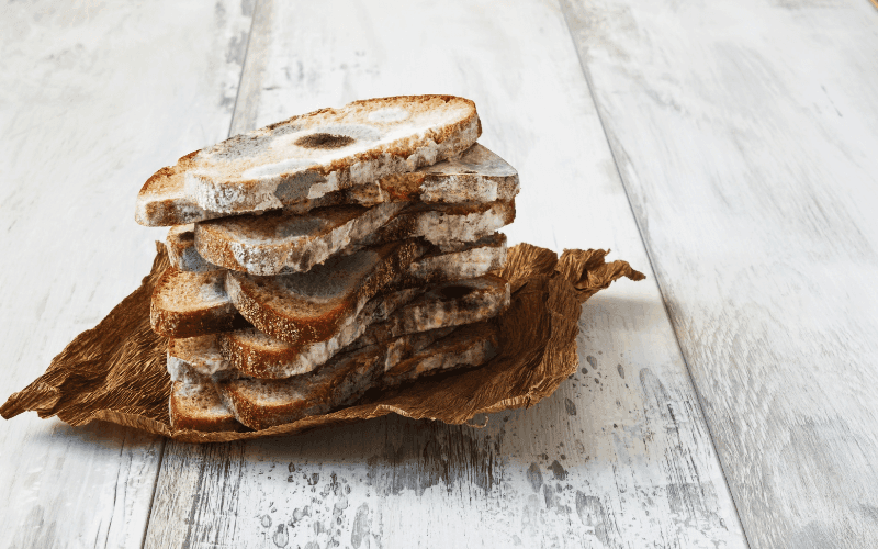 Moldy bread slices